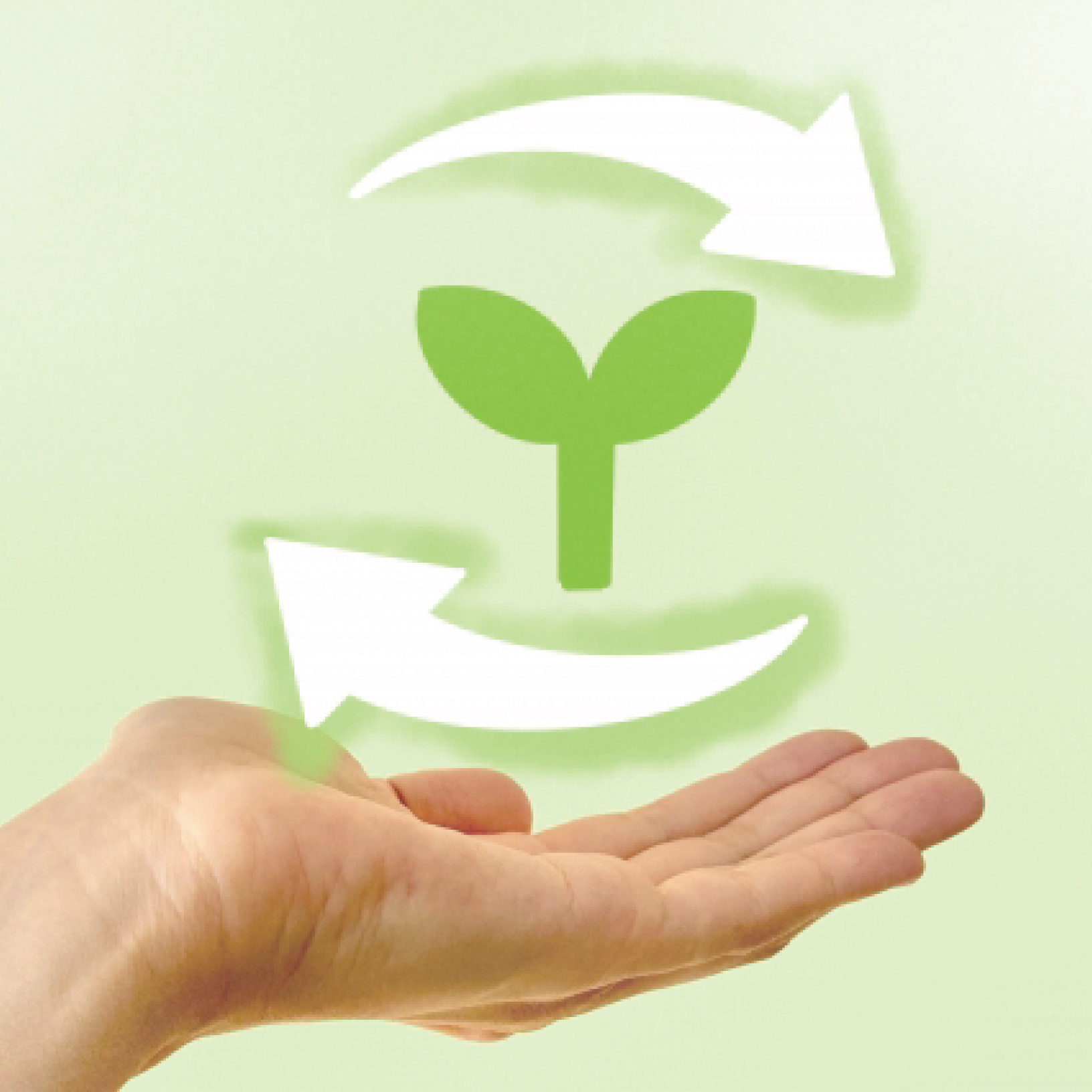 宮崎延岡の着物専門店｜写真6